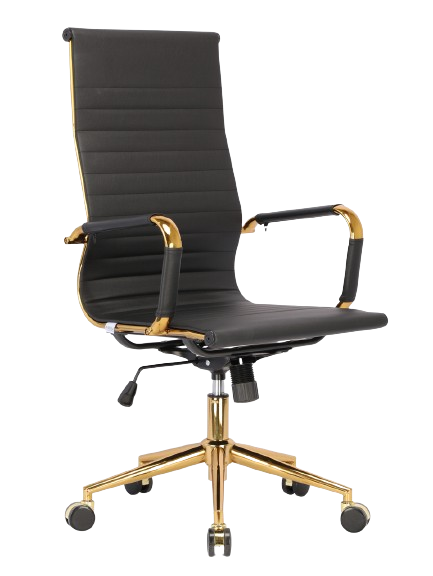 CADEIRA ESTEIRINHA PRESIDENTE